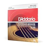 D'Addario Gitarrensaiten Westerngitarre | Gitarrensaiten Akustikgitarre | SAcoustic Guitar Strings | tahlsaiten 12-saitige | DER...