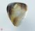 Timber Tones Black Mother of Pearl – Perlmutt Plektrum